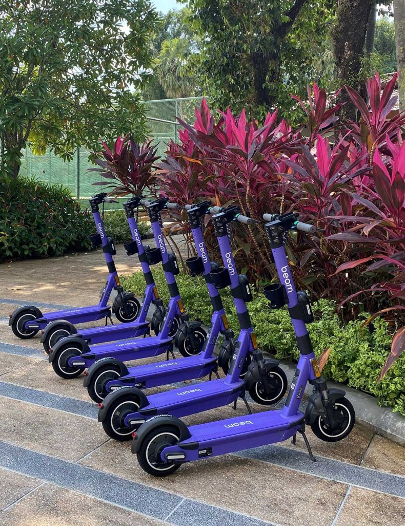 Electric Scooter