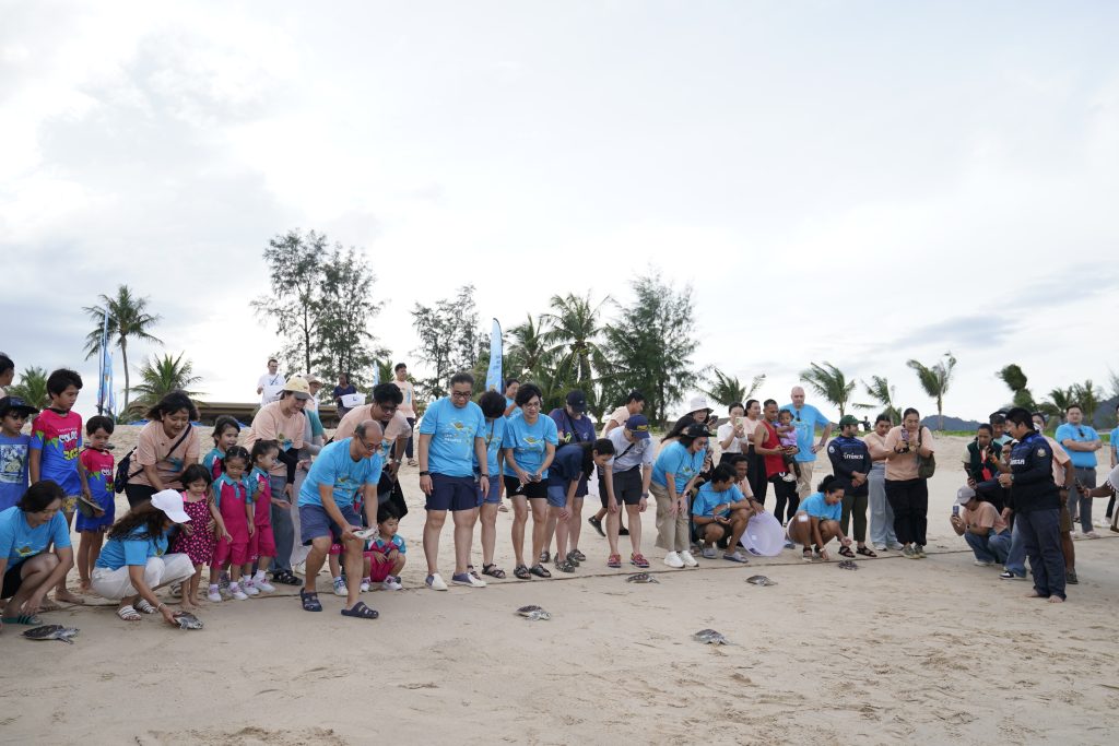 Sea Turtle 2026 (33)